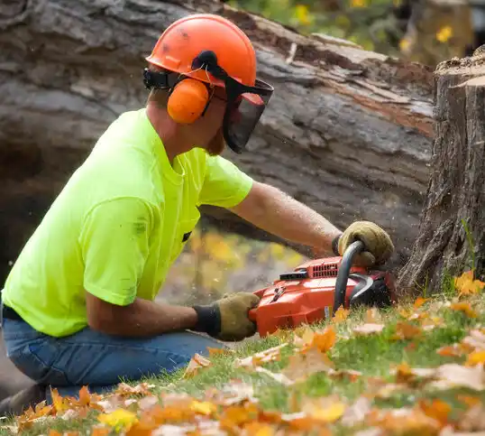 tree services Pinconning